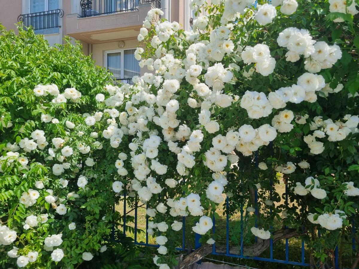 Studio Apartment With Balcony 300M From Beach ซันนีบีช ภายนอก รูปภาพ